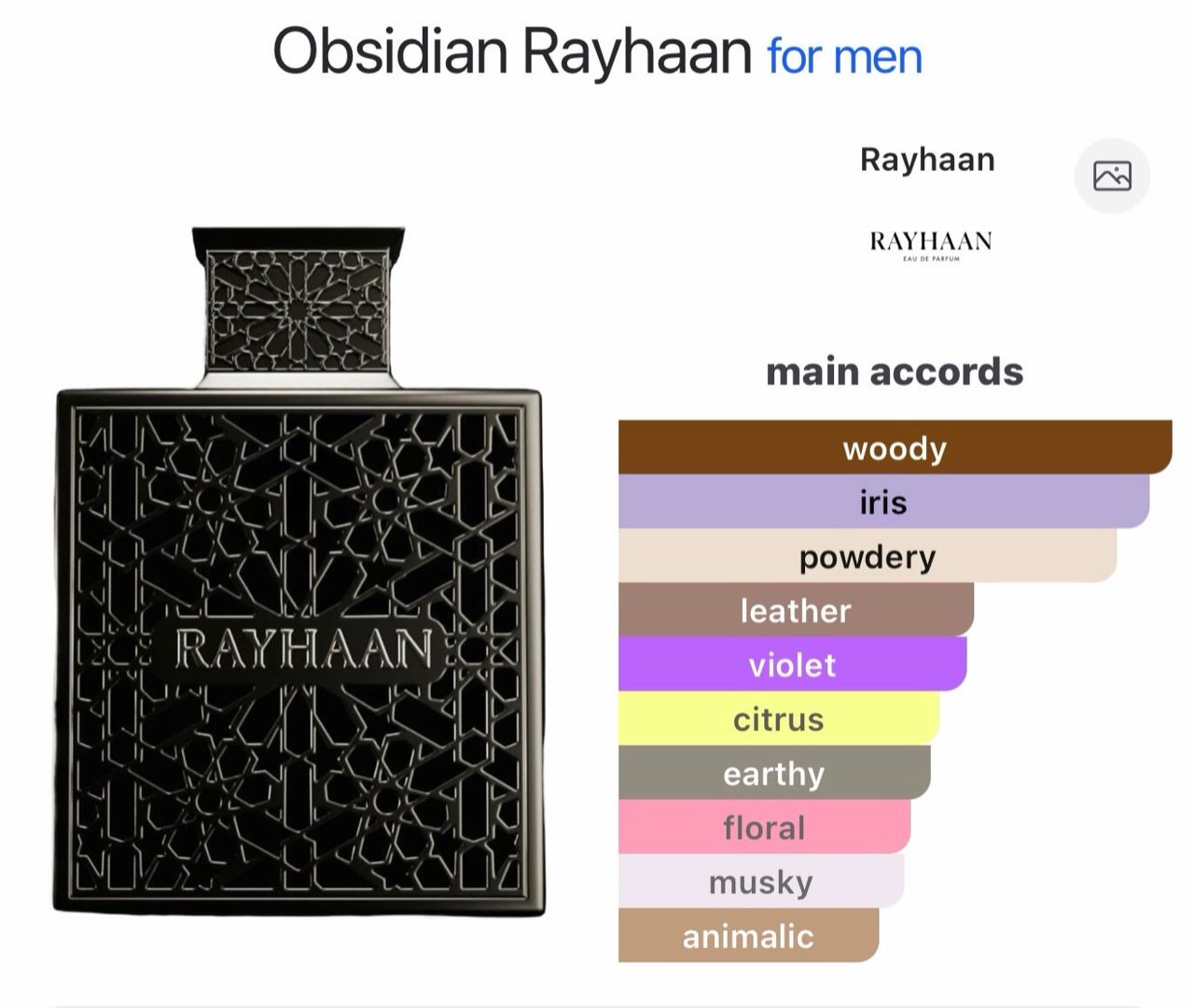 Obsidian EDP 100ml Rayhaan Perfume